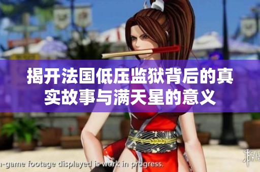 揭开法国低压监狱背后的真实故事与满天星的意义
