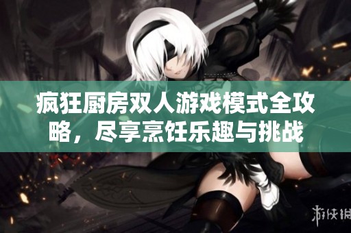 疯狂厨房双人游戏模式全攻略，尽享烹饪乐趣与挑战