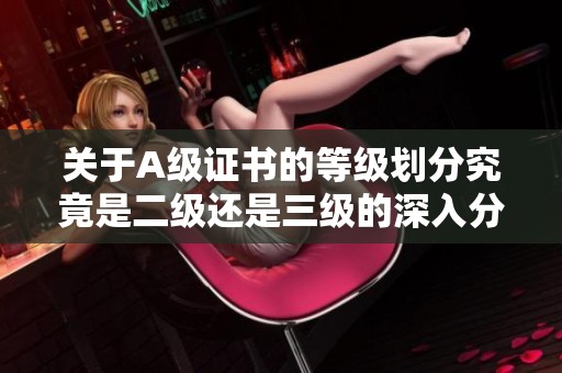 关于A级证书的等级划分究竟是二级还是三级的深入分析