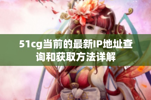 51cg当前的最新IP地址查询和获取方法详解