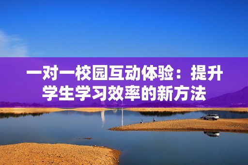 一对一校园互动体验：提升学生学习效率的新方法