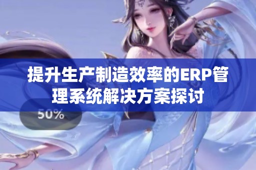 提升生产制造效率的ERP管理系统解决方案探讨