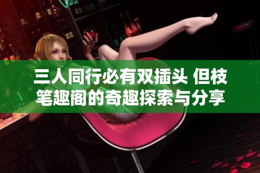 三人同行必有双插头 但枝笔趣阁的奇趣探索与分享