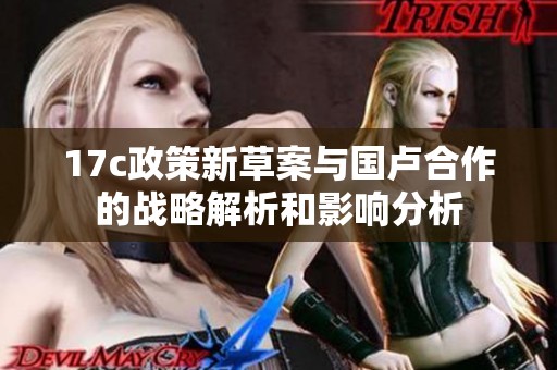 17c政策新草案与国卢合作的战略解析和影响分析