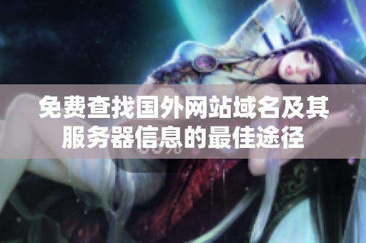 免费查找国外网站域名及其服务器信息的最佳途径