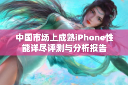 中国市场上成熟iPhone性能详尽评测与分析报告
