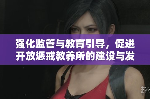 强化监管与教育引导，促进开放惩戒教养所的建设与发展