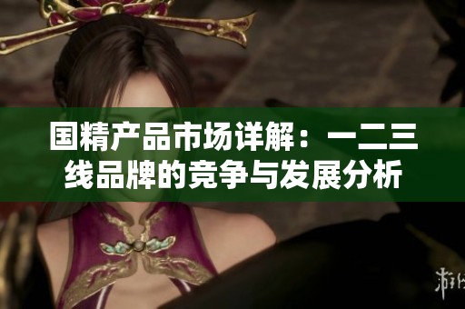 国精产品市场详解：一二三线品牌的竞争与发展分析