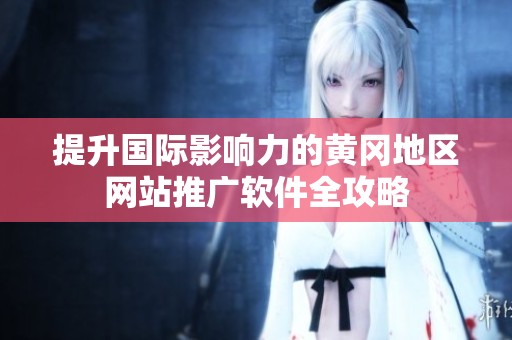 提升国际影响力的黄冈地区网站推广软件全攻略