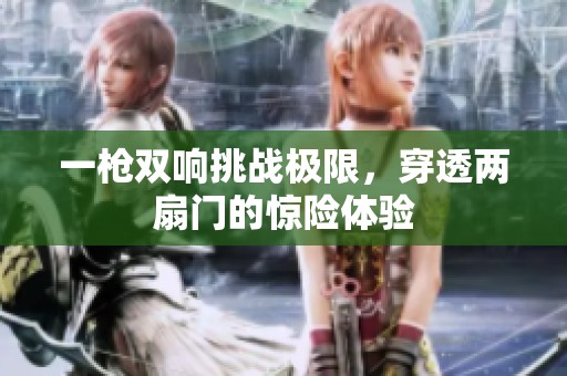 一枪双响挑战极限，穿透两扇门的惊险体验