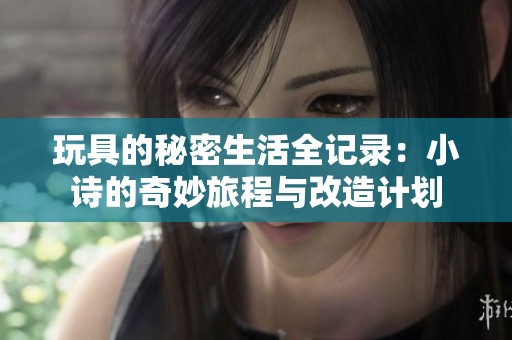 玩具的秘密生活全记录：小诗的奇妙旅程与改造计划