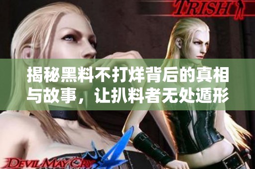 揭秘黑料不打烊背后的真相与故事，让扒料者无处遁形