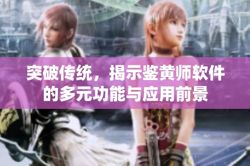 突破传统，揭示鉴黄师软件的多元功能与应用前景