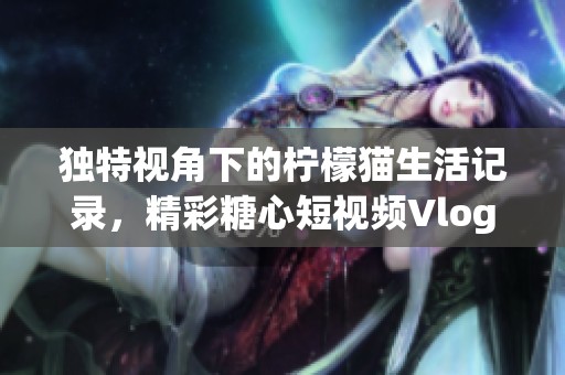 独特视角下的柠檬猫生活记录，精彩糖心短视频Vlog合集