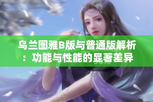 乌兰图雅B版与普通版解析：功能与性能的显著差异