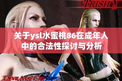 关于ysl水蜜桃86在成年人中的合法性探讨与分析