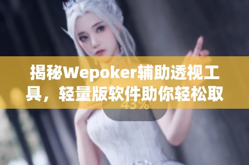 揭秘Wepoker辅助透视工具，轻量版软件助你轻松取胜