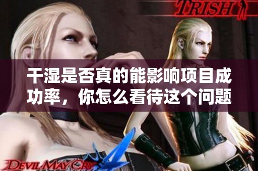 干湿是否真的能影响项目成功率，你怎么看待这个问题