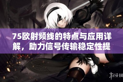 75欧射频线的特点与应用详解，助力信号传输稳定性提升