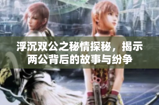 浮沉双公之秘情探秘，揭示两公背后的故事与纷争