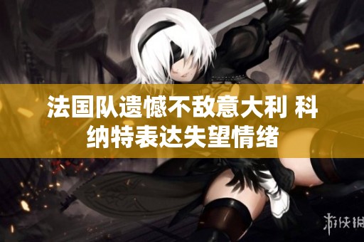 法国队遗憾不敌意大利 科纳特表达失望情绪